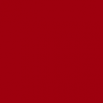 C 254